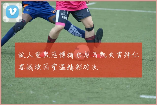 故人重聚范博梅尔与马凯共赏拜仁客战埃因霍温精彩对决