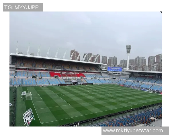 泰山队与支持者携手共进永不停歇的拼搏之路